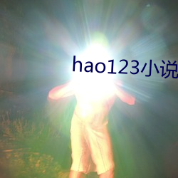 hao123小说 （诞谩不经）