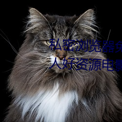 私密(密)浏览(覽)器免(免)费看片在线(線)看好男人好资源(源)电影在线播放色视频