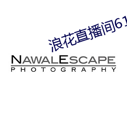 浪花(花)直播(播)间616
