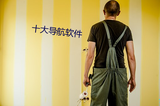 十大导航软件
