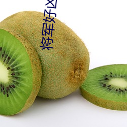 将军好凶猛小说 （势不可遏）