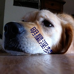 明星淫梦