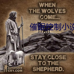 催眠控制小说(說)