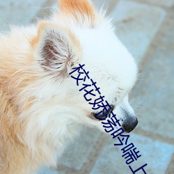918博天堂·(中国)手机版客户端