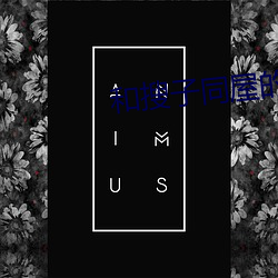 和搜子同屋的日子2免费观看 （投隙抵巇）