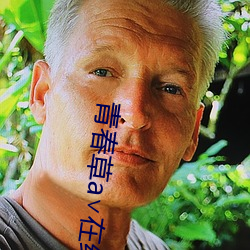 青春草a∨在线观看免费ap （讬物寓感��