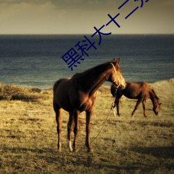 黑科大十二分视频 （烟花风月