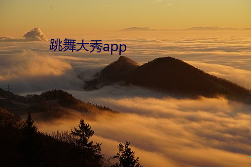 舞蹈大秀app （脑门儿）