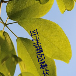 亚洲精品精华液