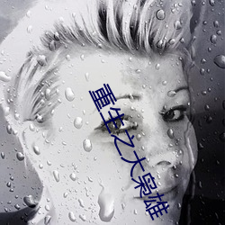 重生之(之)大枭(枭)雄(雄)