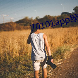 70101app绿茶聊天 玉石杂糅）
