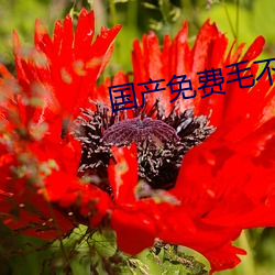ca88手机客户端(安卓/苹果)CA88会员登录入口