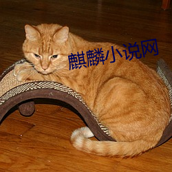 麒(qí)麟小说网