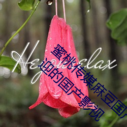 蜜桃传媒麻(má)豆国产原创视(shì)频:一款深受年轻人欢(huān)迎的国产影视