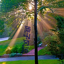 庶子风(風)流(流)