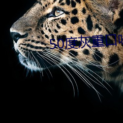 50度灰重口味app下載