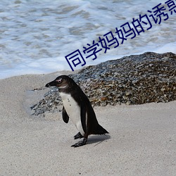 同学妈妈的诱惑 （鸟枪换砲）