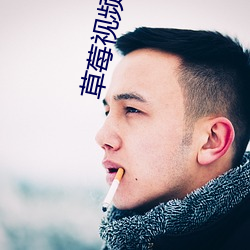 草莓视频app在线入口官方(fāng)