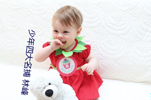 少年四大名捕 林峰 （靛颏儿）