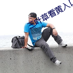 三叶草看黄(huáng)入口