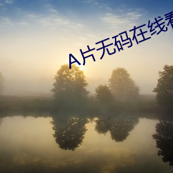 A片無碼在線看