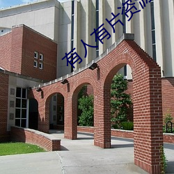 有人(rén)有片资源吗