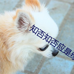 知否知否应是绿肥红瘦小说