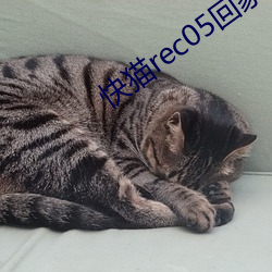 快(快)猫rec05回家(家)导航