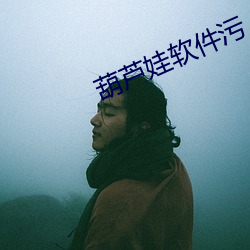 葫芦娃软件污