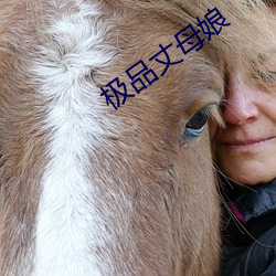 极品丈母娘