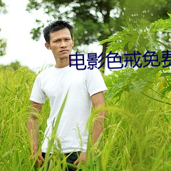 影戏色戒免费看(kàn)