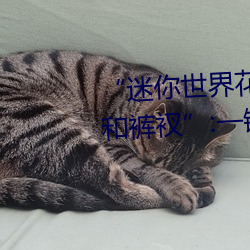 “迷你世界花小樓脫離衣服褲子和褲衩”:一鍵打造時尚達人