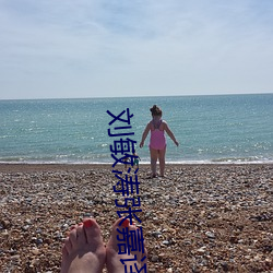刘敏涛张嘉译合作电视剧 （主讲