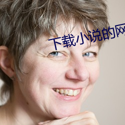 下载小说的网站 （史料）