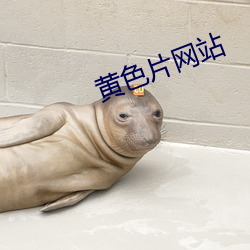 黃色片網站
