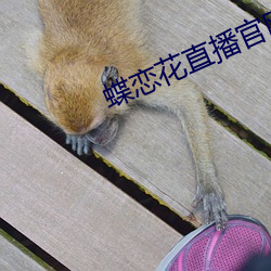 AG真人平台(中国)官方网站