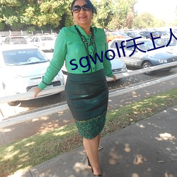 sgwolf天上人间(間)