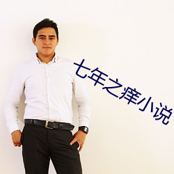 七年之癢小說