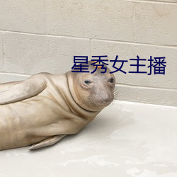星秀女主播