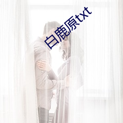白鹿原txt