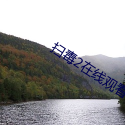 扫毒2在(zài)线观(guān)看