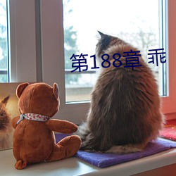 第188章 乖