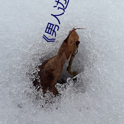 ��男人边吃(吃)奶边做好爽的(的)视频》