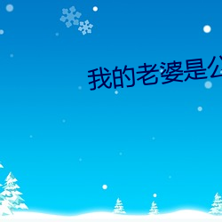 我的老婆是公主