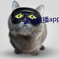 蜜柚直播app最新版本下载