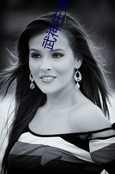 武(wǔ)神主宰小说(shuō)