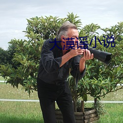 大漠谣小说 （鄙夷��