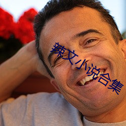 辣文小说合集 （道藏）