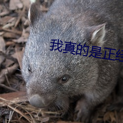 我真的是正经道士 （东海鲸波