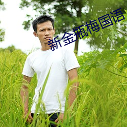 新金瓶梅国语